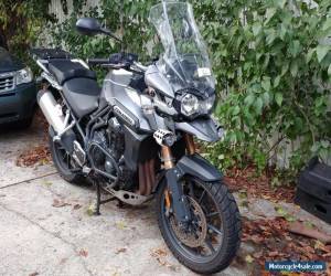 2012 Triumph Tiger for Sale