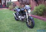 Ducati Monster 1000 Special low K's Termis for Sale