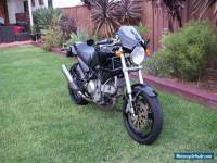 Ducati Monster 1000 Special low K's Termis