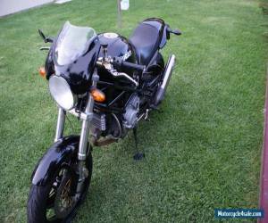 Motorcycle Ducati Monster 1000 Special low K's Termis for Sale