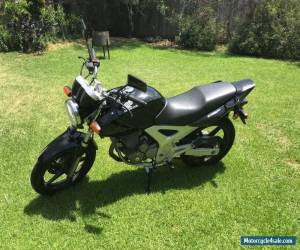 Motorcycle Honda CBF250 for Sale