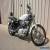 2006 Harley-Davidson XL883C Sportster for Sale