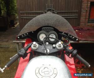 Motorcycle 2000 Moto Guzzi SFIDA 1100 MAGNI for Sale