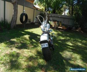 Motorcycle Harley davidson softail for Sale