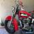 FS:1956 OEM Harley Davidson FLH Panhead for Sale