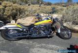 2006 Harley-Davidson Softail for Sale