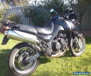 Motorcycle Clean, black Triumph Tiger 955i, 2001, ~74000km, Staintune muffler:$4000 for Sale