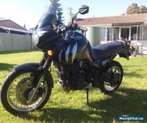 Motorcycle Clean, black Triumph Tiger 955i, 2001, ~74000km, Staintune muffler:$4000 for Sale