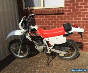 Motorcycle HONDA XR250 R - Road / Trail LAMS approved. XR 250 XR250R for Sale