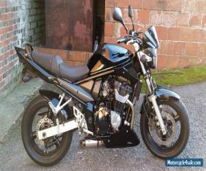 SUZUKI 2005 GSF 650 BANDIT for Sale