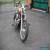 2008 Harley-Davidson Sportster for Sale