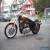 2008 Harley-Davidson Sportster for Sale