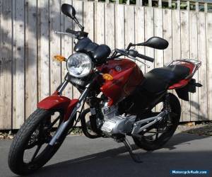 Motorcycle Yamaha YBR125 Ideal Learner/Commuter *1609 Miles* for Sale