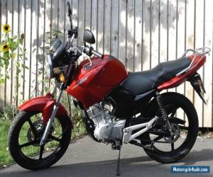 Motorcycle Yamaha YBR125 Ideal Learner/Commuter *1609 Miles* for Sale