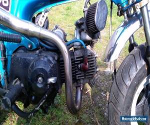 Motorcycle 1974 HONDA  Dax BLUE for Sale