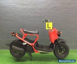 Motorcycle Honda Zoomer 50 for Sale