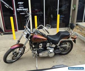 1984 Harley Davidson softail for Sale