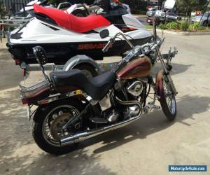 Motorcycle 1984 Harley Davidson softail for Sale