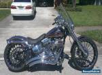 2014 Harley-Davidson Softail for Sale