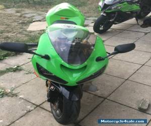 Motorcycle Kawasaki ZX6R ZX636 2005 C1H Green 636 TRACK Not R6 GSXR600 CBR600 675 for Sale