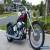 2001 Harley Davidson FXSTD for Sale