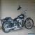 Custom Softail Springer 2004 for Sale