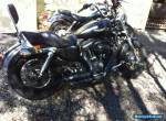 2013 Harley Davidson XL1200B Custom for Sale