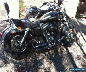 Motorcycle 2013 Harley Davidson XL1200B Custom for Sale