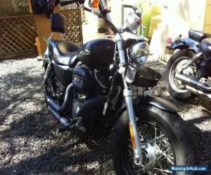 Motorcycle 2013 Harley Davidson XL1200B Custom for Sale