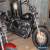 2013 Harley Davidson XL1200B Custom for Sale