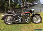 1994 Harley-Davidson Softail for Sale