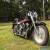 1994 Harley-Davidson Softail for Sale