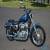 2005 Harley-Davidson Sportster for Sale