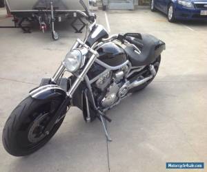 Motorcycle 2003 HARLEY DAVIDSON V-ROD REG & RWC for Sale