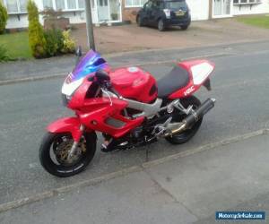 Motorcycle Honda Firestorm VTR for Sale