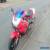 Honda Firestorm VTR for Sale