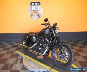 Motorcycle 2013 Harley-Davidson Sportster 883 for Sale