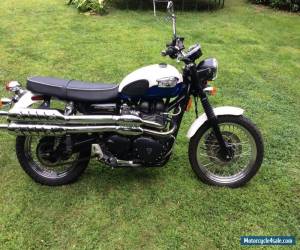 Motorcycle 2007 Triumph Bonneville for Sale