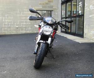 Motorcycle 2011 Ducati Monster for Sale