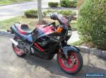 1987 Honda CBR for Sale