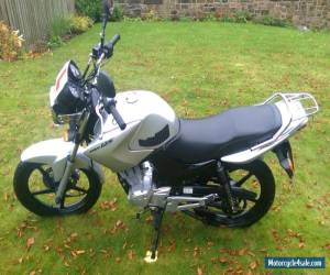 Motorcycle Yamaha YBR125 2011 2283 Miles Silver 2 Sensible Owners FSH for Sale
