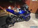 2003 Yamaha R1 for Sale