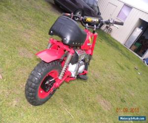 Motorcycle Honda Z50J 1978  for Sale