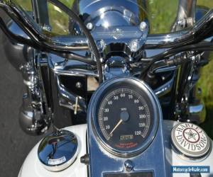 Motorcycle 2001 Harley-Davidson Softail for Sale