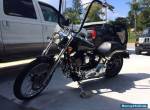 2001 Harley-Davidson Softail for Sale