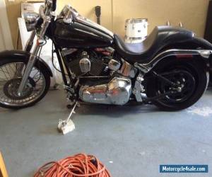 Motorcycle 2001 Harley-Davidson Softail for Sale