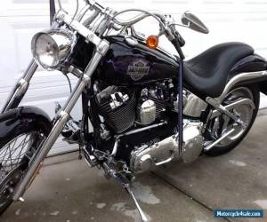 Motorcycle 2002 Harley-Davidson Softail FXSTD for Sale