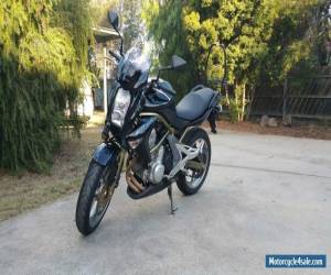 Motorcycle Kawasaki 2006 ER6N  for Sale