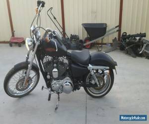 Motorcycle Harley Davidson XL1200V 72 for Sale