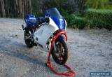 RGV 250 Track Bike for Sale